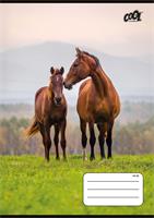 Exercise book, A5, lined, 32 sheets, 1. class, COOL BY VICTORIA 